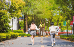 当前市场及本项目为高层产物